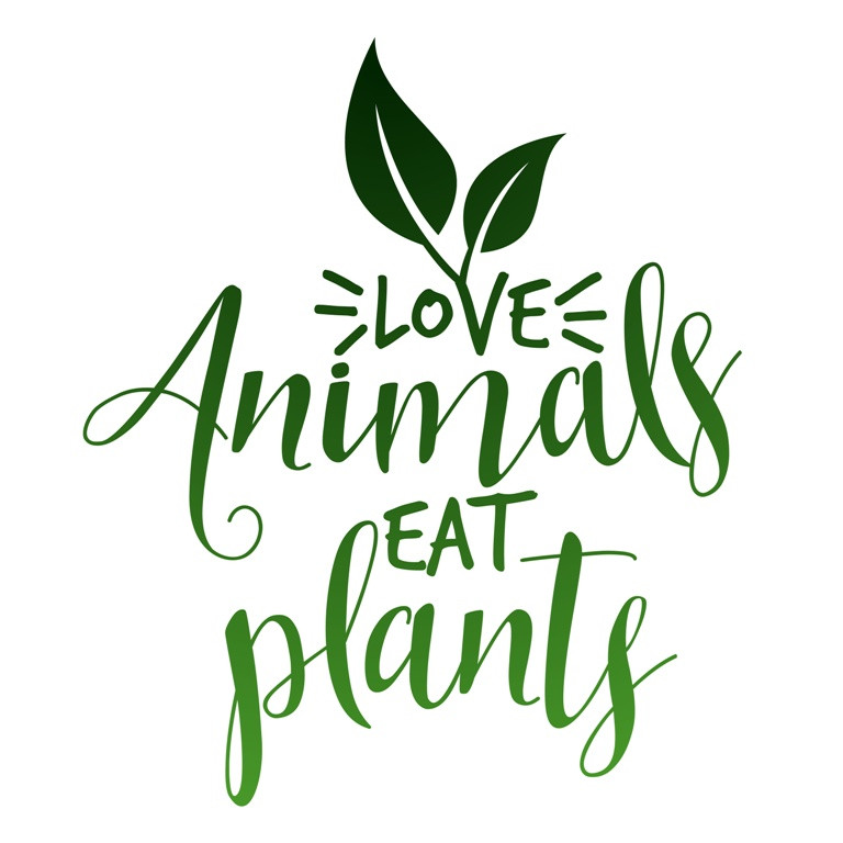 schools%2FYKMWm7CrAlWulD5r4Yrk%2Fcontentimg%2FVuiRUvMR8REt0ZULeA1U%2FSltYvkgZnp8LbWBWwc8rG-img.png?alt=media&token=9f712b15-7823-475f-98af-b5292748fd21