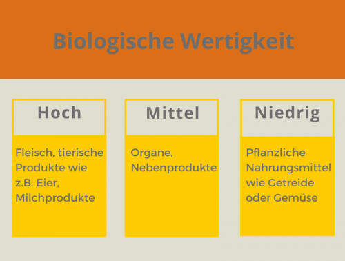 schools%2FYKMWm7CrAlWulD5r4Yrk%2Fcontentimg%2FvRXCv5a1VBQpuFKKfZvI%2FealHsl35IDcr8FvgZPVSc-img.png?alt=media&token=4f59c743-a3d1-4e27-a0f8-750d347e8e8d