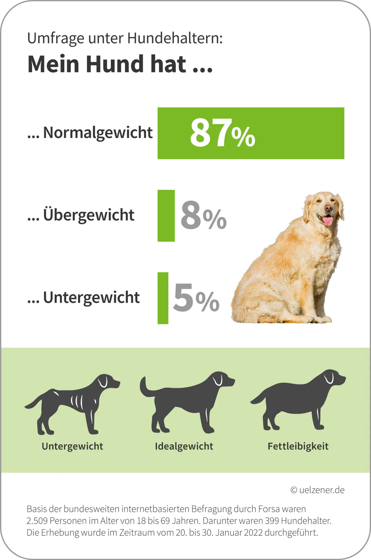 Übergewicht aus Hundehalter-Sicht